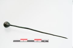 Foto von Kugelkopfnadel (NHMW-PRAE-024171)
